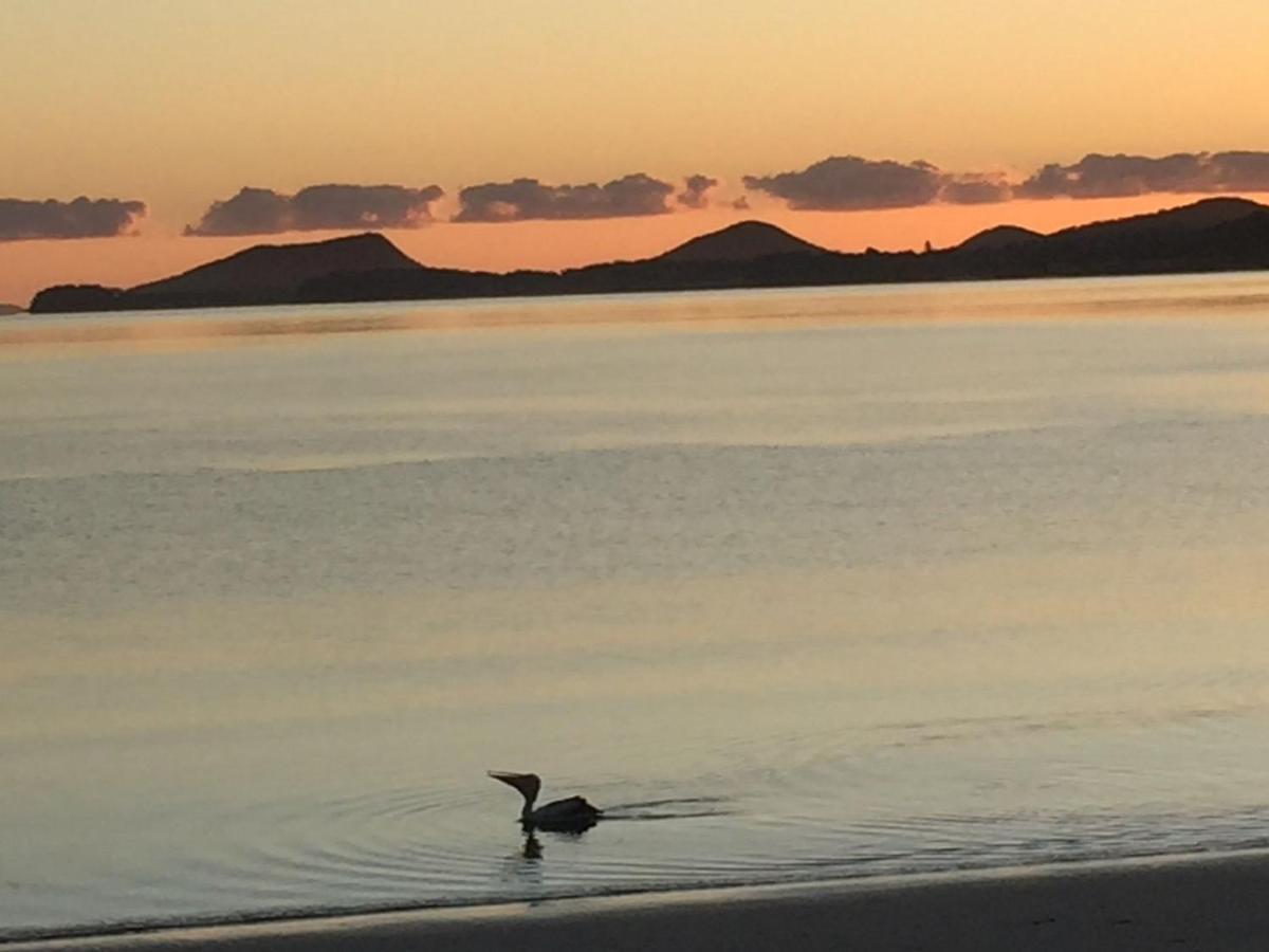 The Clippers 1 Fabulous Waterfront Unit Apartment Salamander Bay Bagian luar foto